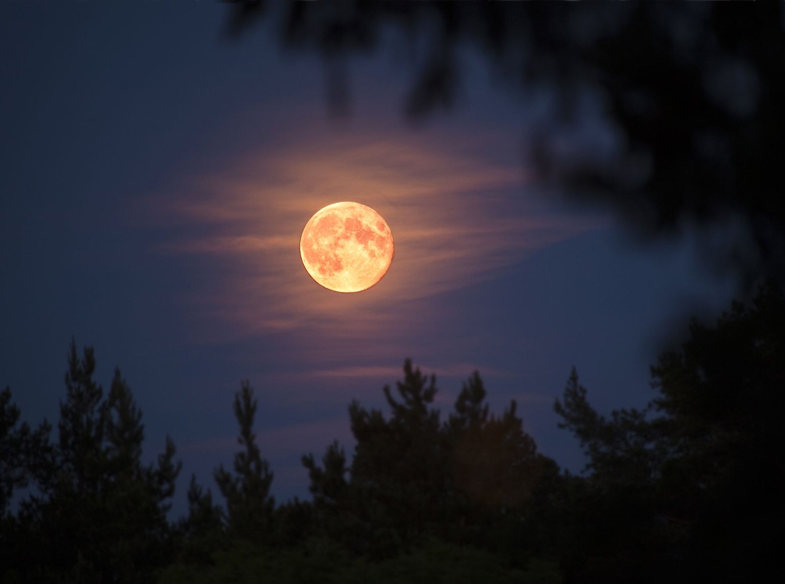 Every Full Moon In 2025 — And How Each One Will Affect You LMPT